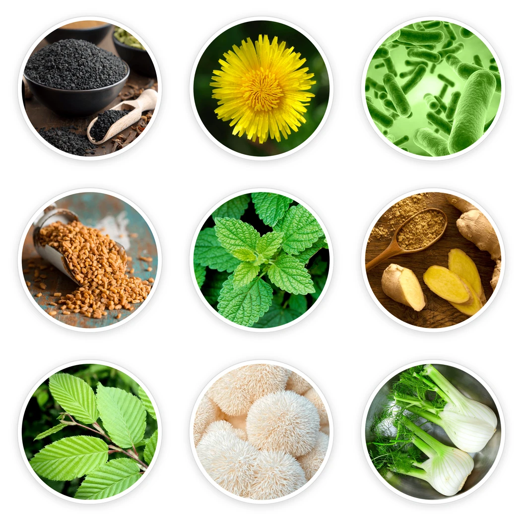 Neotonics ingredients